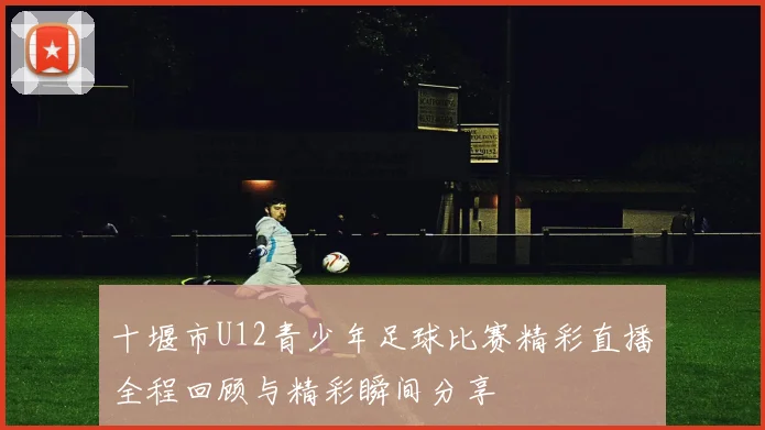 十堰市U12青少年足球比赛精彩直播全程回顾与精彩瞬间分享