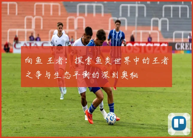 向鱼 王者：探索鱼类世界中的王者之争与生态平衡的深刻奥秘