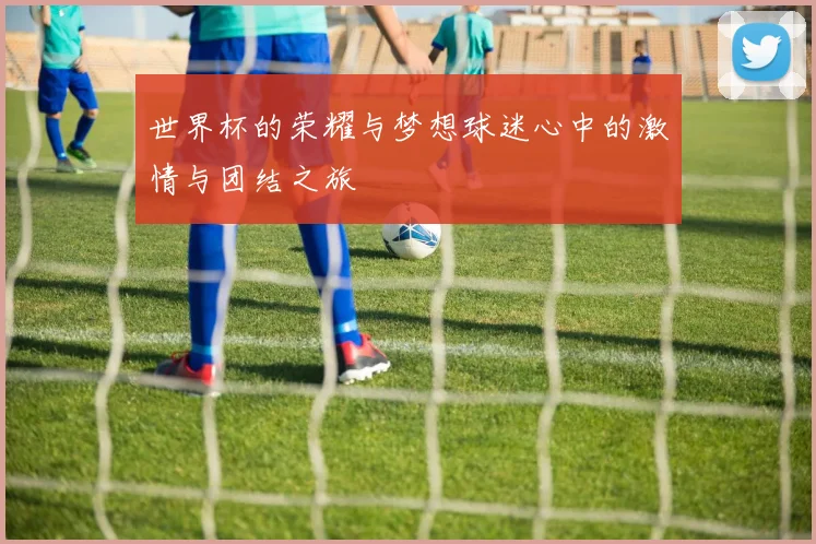 世界杯的荣耀与梦想球迷心中的激情与团结之旅